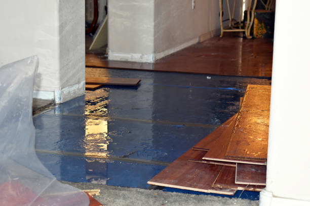 Professional Water Extraction technician working in Larsen, WI